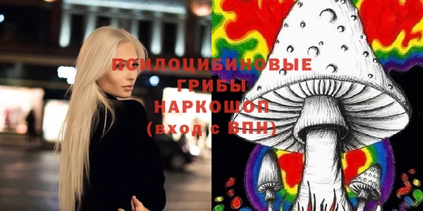 трава Новокубанск