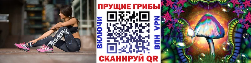 Галлюциногенные грибы GOLDEN TEACHER Зеленокумск